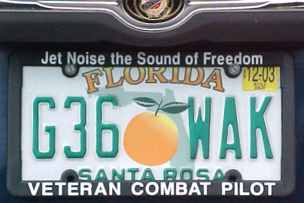 vet-lp1jpg (6542 bytes)